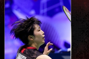 活动轮替的 活动轮替的