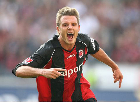 自然融入 自然融入