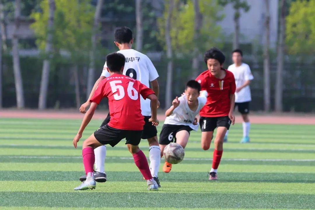 或分析 或分析
